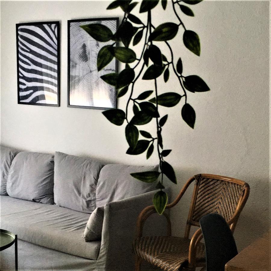 Apartments Mar De Tossa トッサ・デ・マール エクステリア 写真
